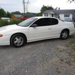 Meet your Posher, Billy